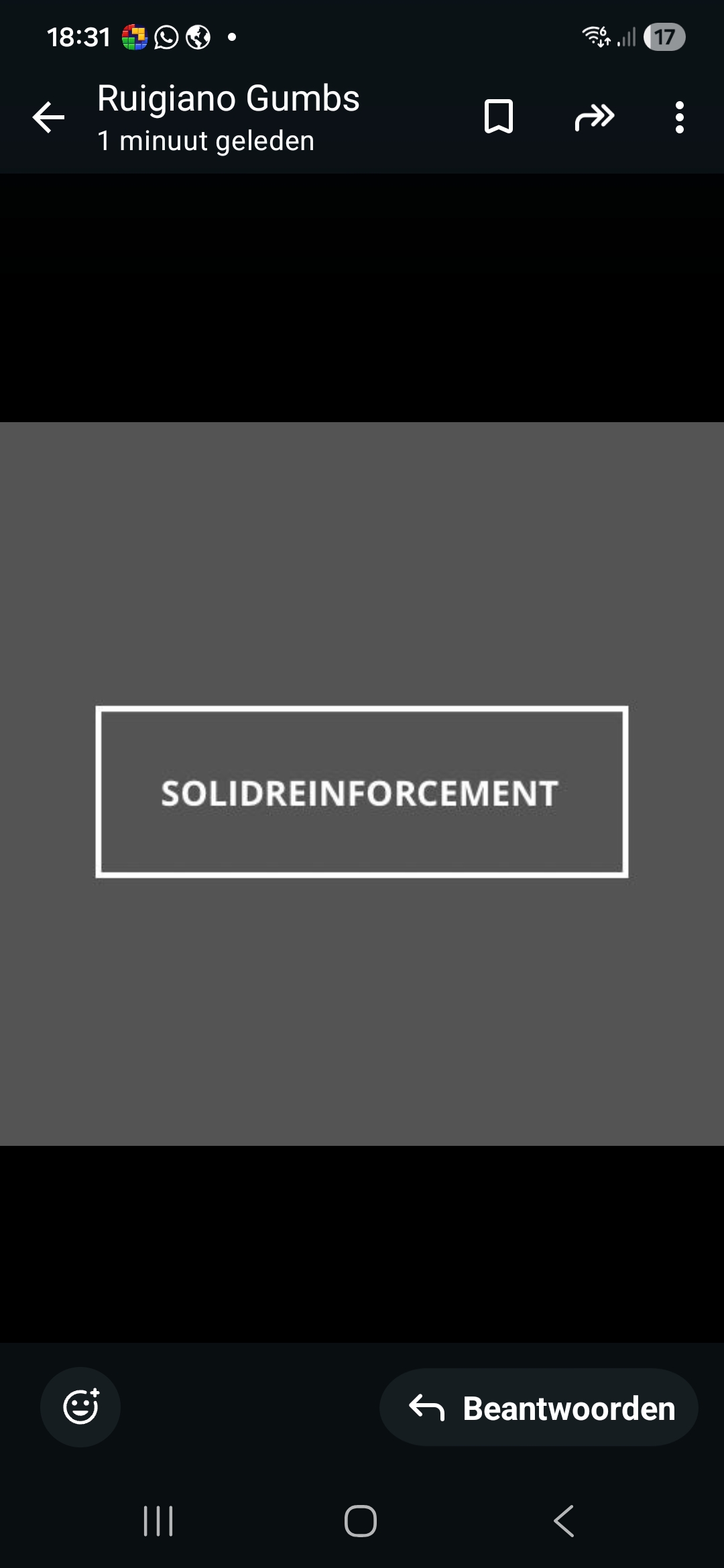 Solidreinforcement